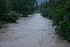 050821_Hochwasser-Pitten_14_fuer_Peter_Luef.jpg